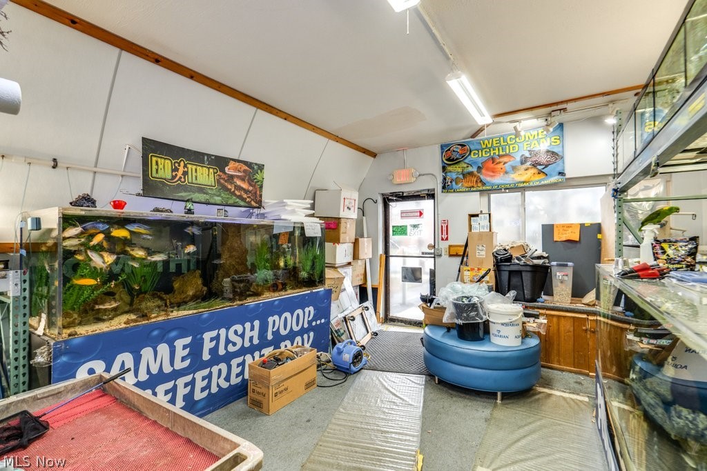 August Cook Allotment - Commercial Sale