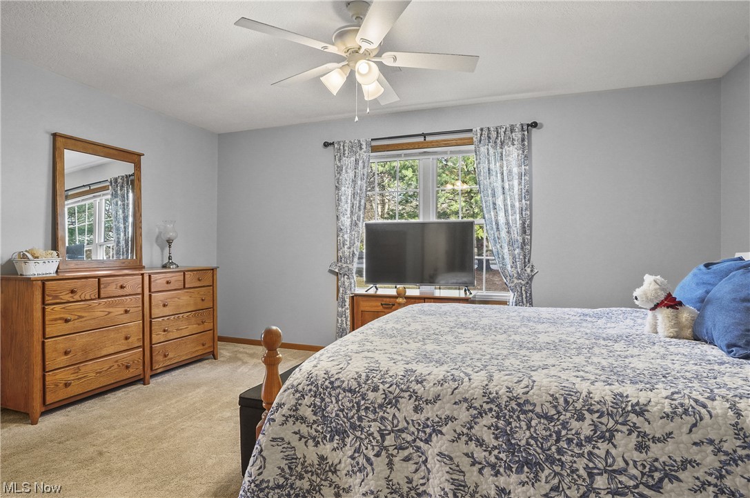 Villas at Springtree - Residential