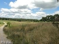 A buyers dream! 149 acres of land to live, build, farm or use for recreational. 2 houses on property. You can live in one and rent the other. 2 ponds, 3 springs, water troughs, round grain bin, 4 metal pole buildings 3 have electric. 1 building has a loft, heated floor, restroom. Timber on property. White house has 3 BR 1 and half bath. Mud room, sunroom, full basement, roof 1999, newer windows, stove, refrigerator. Brick house as is. A must see!