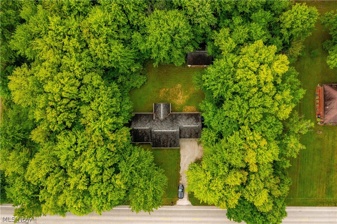 Katona Allotment - Residential