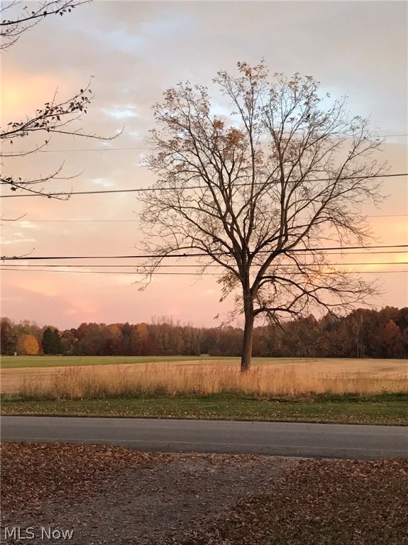 Katona Allotment - Residential