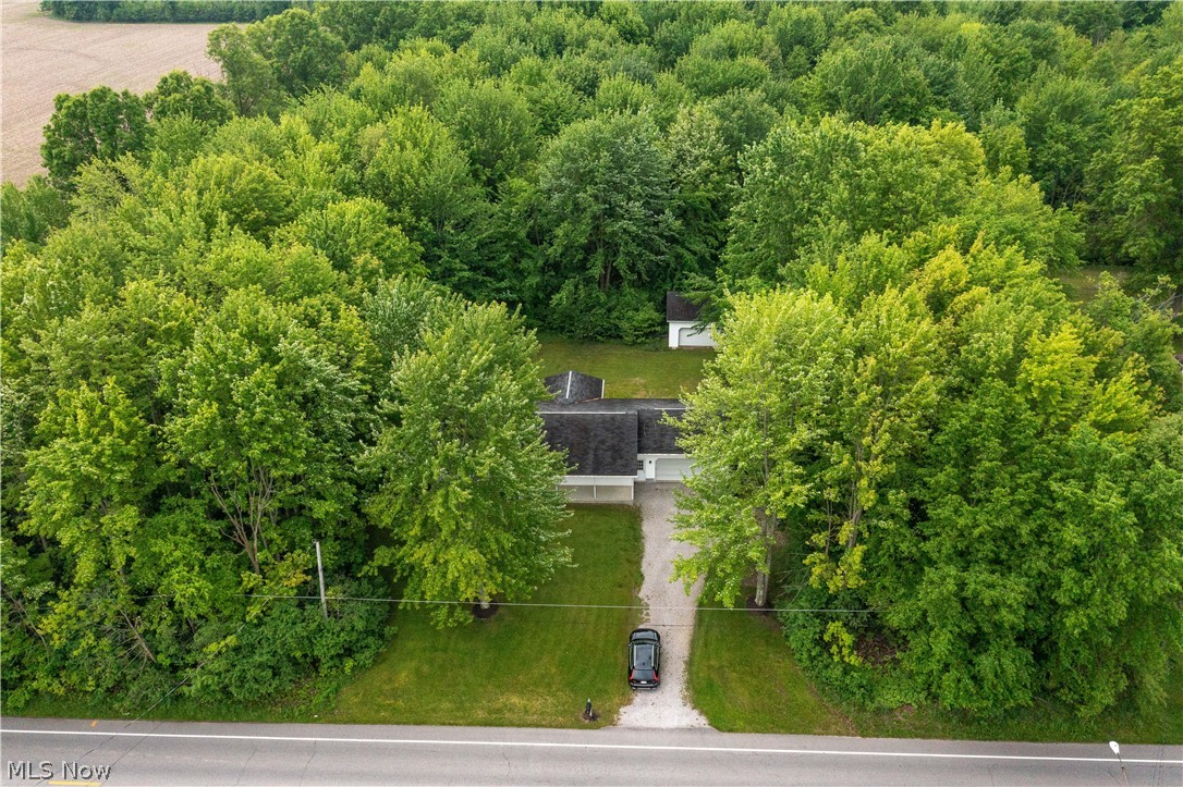 Katona Allotment - Residential