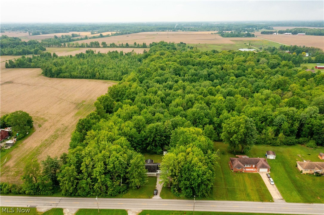 Katona Allotment - Residential