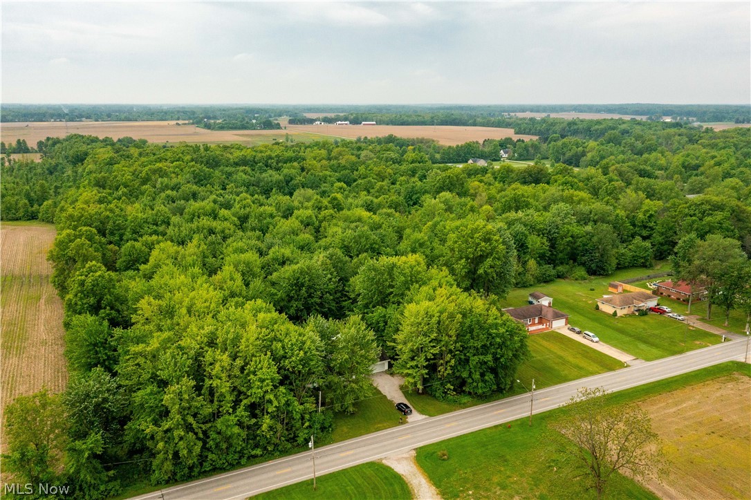 Katona Allotment - Residential