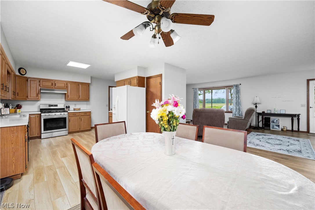 Katona Allotment - Residential