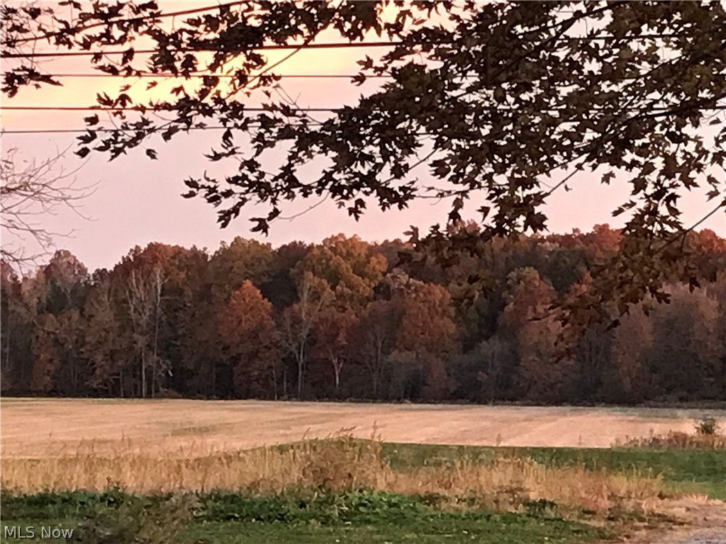 Katona Allotment - Residential
