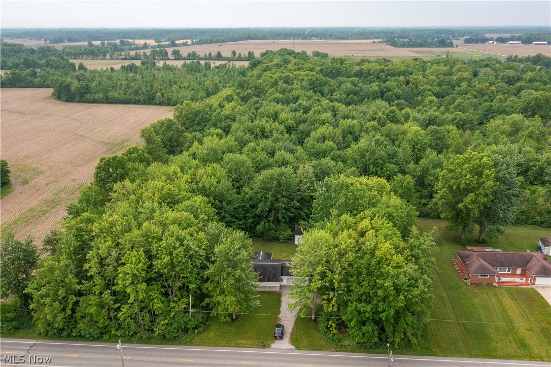 Katona Allotment - Residential