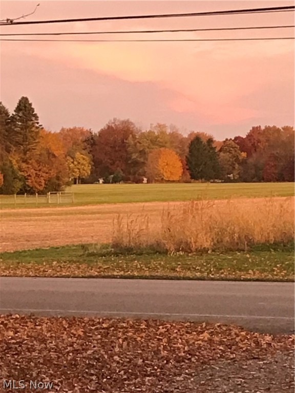 Katona Allotment - Residential