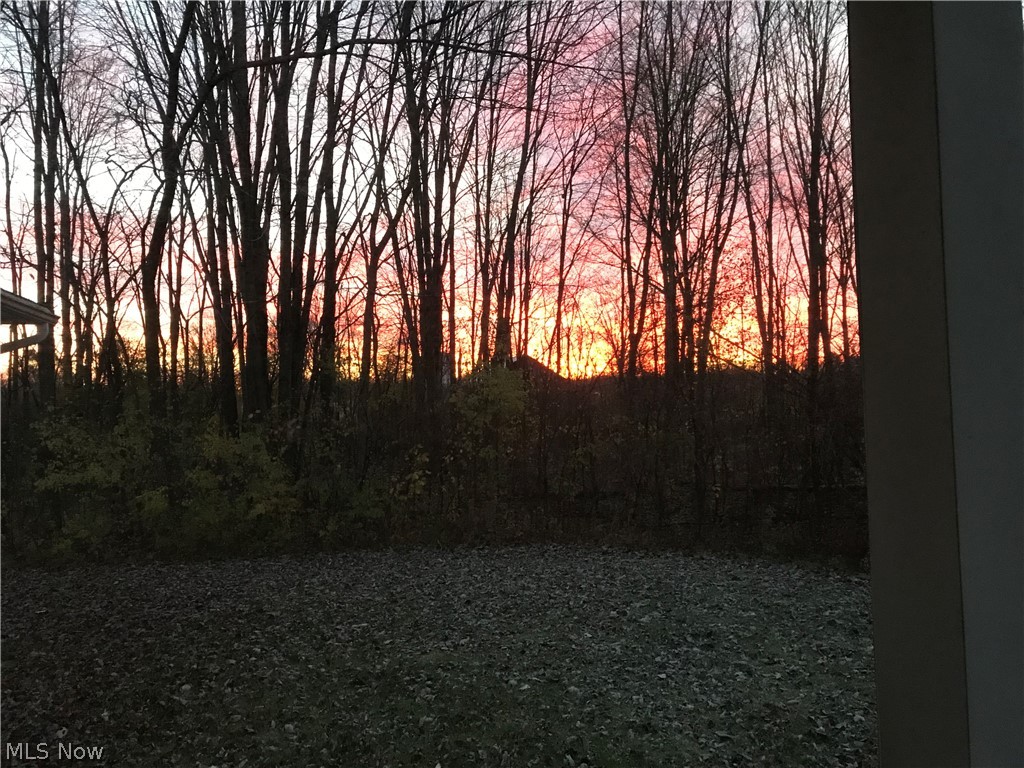 Katona Allotment - Residential