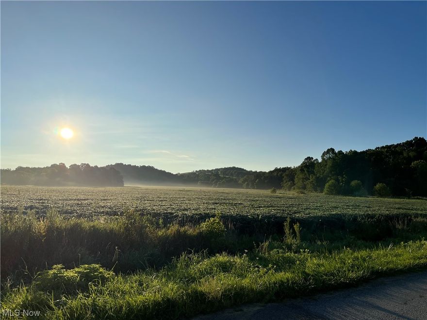 Own a piece of farm land in America's Heartland. This 50.5 acre property is located on the corner of SR 79 and CR 383 in SE Coshocton County between Warsaw and Newark. This is good fertile bottom ground. Most of the property is in the flood plain but the seller said that Winding Fork Creek rarely floods. The crops belong to the tenant farmer and will be allowed to harvest them. Acreage is subject to final survey.