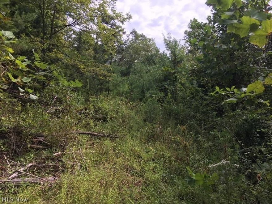 Acreage is to be determined and verified. Taxes are to be determined once separated from larger parcel. Mineral rights do not convey. Utilities available at the road including electric and water. Gas to be verified.