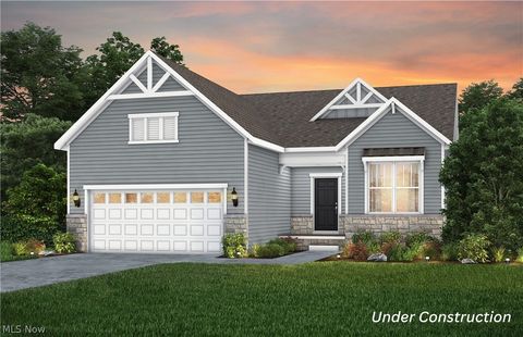 6761 Montville Reserve Lane Medina OH 44256