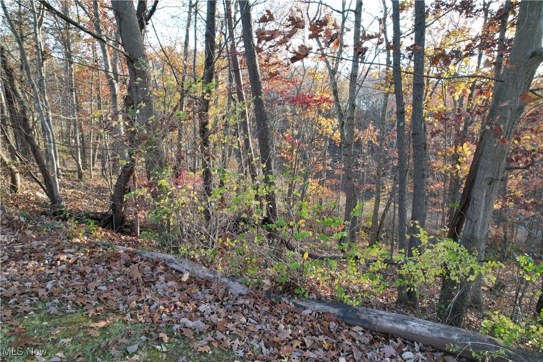 Woodhurst Heights Adn - Land