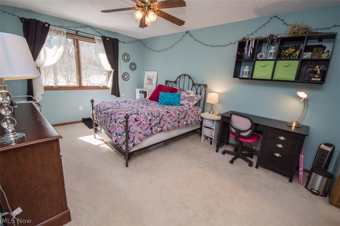 Rocky Cellars - Residential