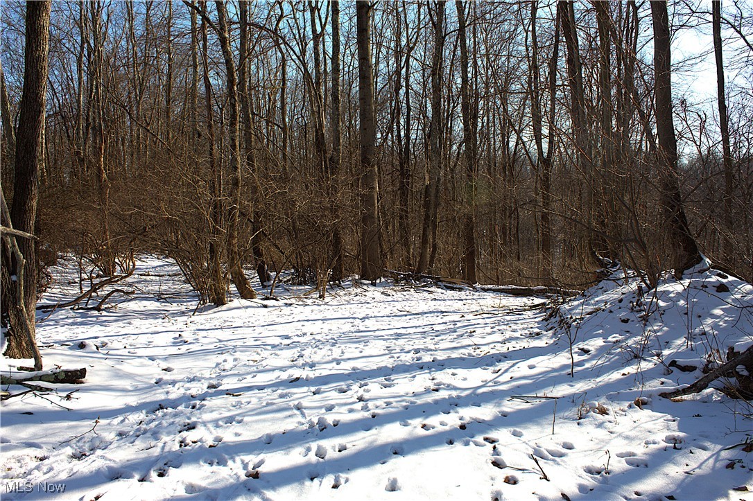 Earley Road, Kimbolton, Ohio image 7