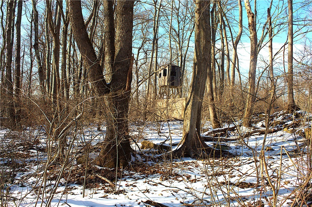 Earley Road, Kimbolton, Ohio image 5