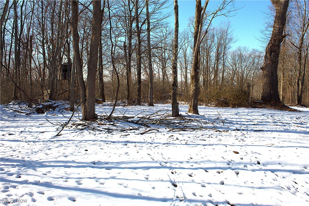 Earley Road, Kimbolton, Ohio image 2