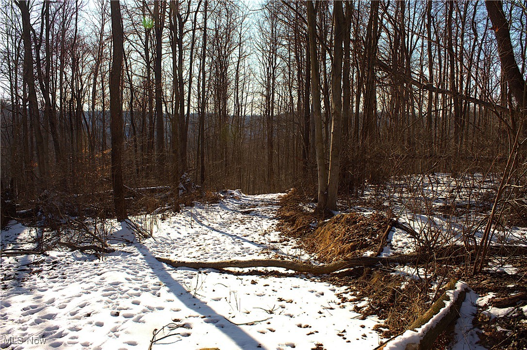Earley Road, Kimbolton, Ohio image 6