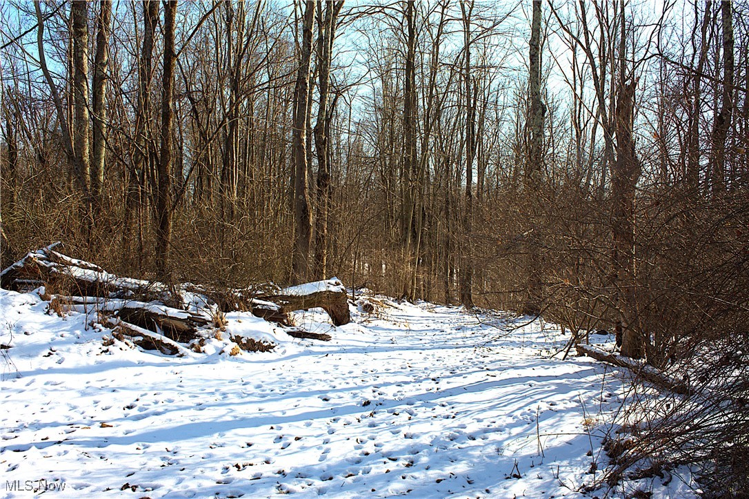 Earley Road, Kimbolton, Ohio image 3