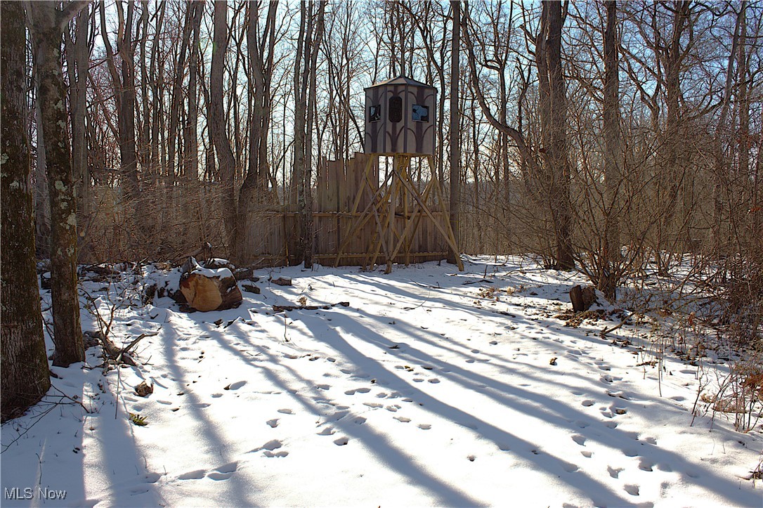 Earley Road, Kimbolton, Ohio image 1