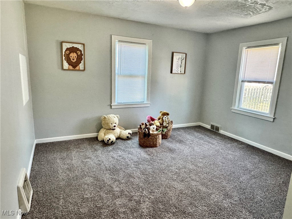 160 Euclid Boulevard, Youngstown, Ohio image 13