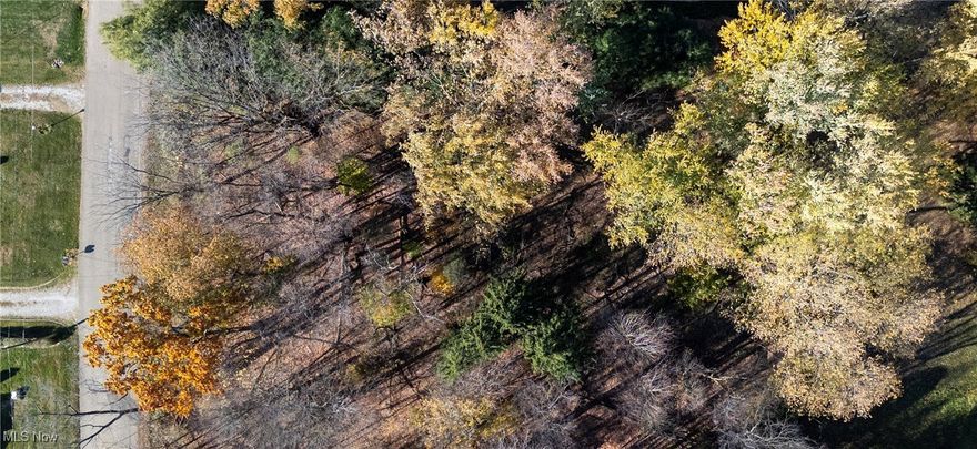 Check out this .51-acre lot located in Perry township, Perry local schools. Great location to build your dream home!