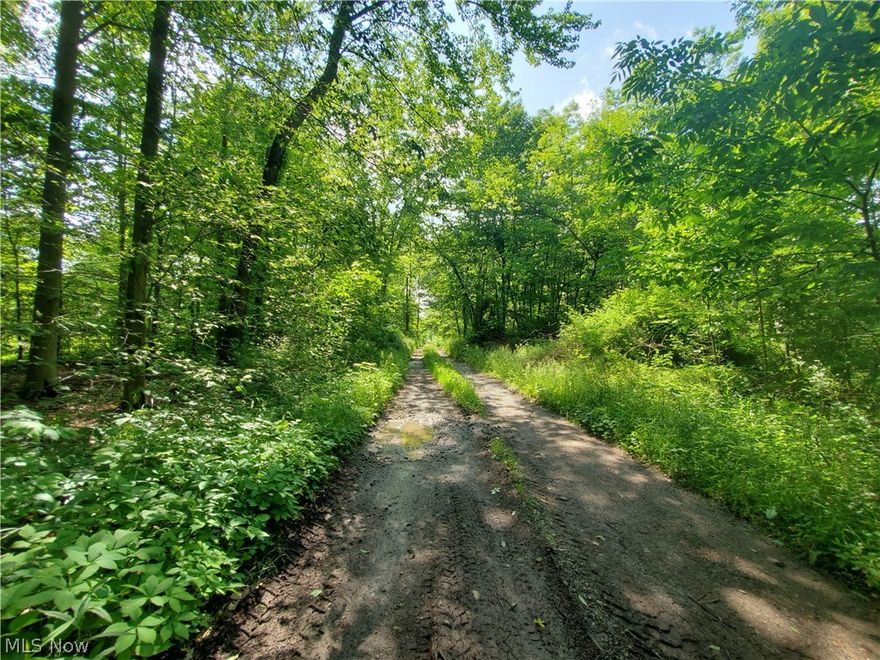 Looking to escape the hustle and stress of city living? Relaxation is all you'll feel when you are standing in the middle of this 11.57 acres!!  As you make your way down the driveway to where the property opens up, you can't even imagine how amazing this property is! There are trails cut for you to explore every corner of this lush landscape! Hunter's paradise! There are wild turkey, deer, fox, rabbits and so much more! In the rear of the property there is a flowing creek (only a part of it is on this land but what a view!) This lot would make a great place to build away from everyone and have tons of privacy!  Mineral rights do not transfer. Current owner does not own them. Owner will be happy to walk the property with an interested buyer, by appointment. There is a gate at the end of the driveway. Owner will open for requested showings.