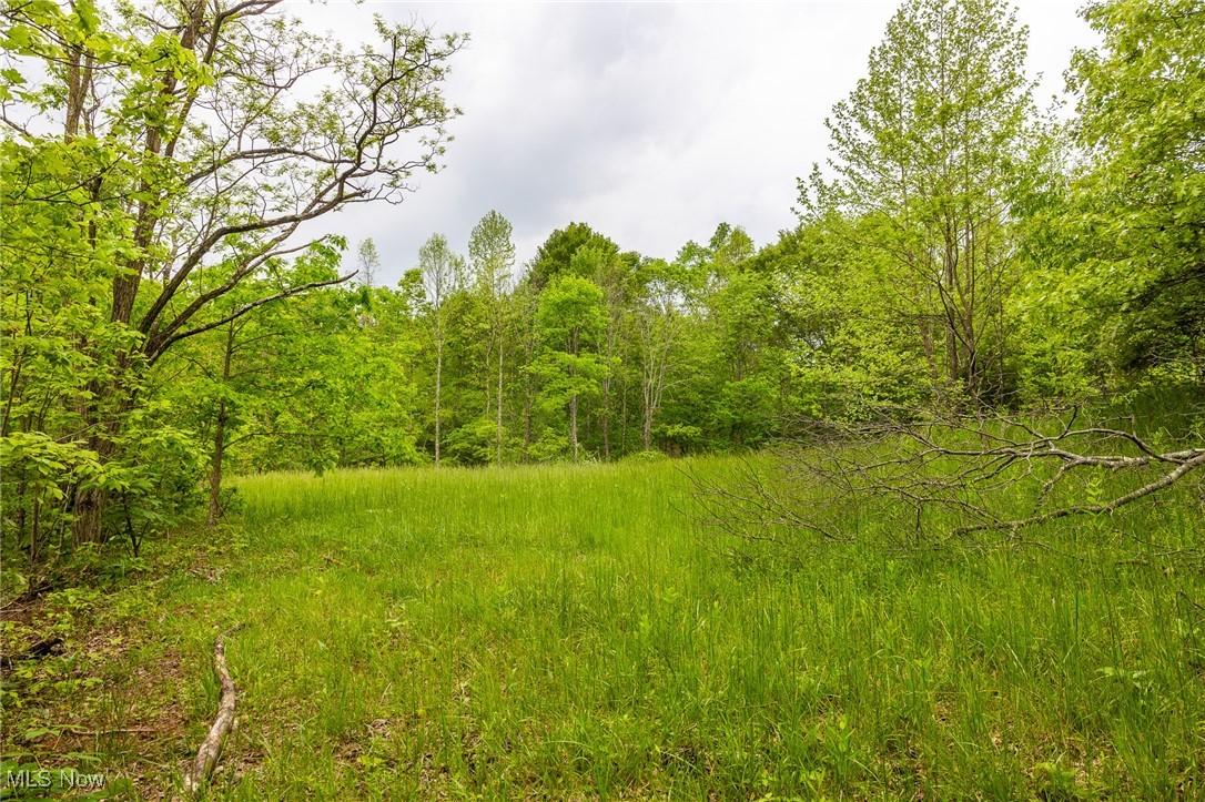 Epler Road, Lowell, Ohio image 30
