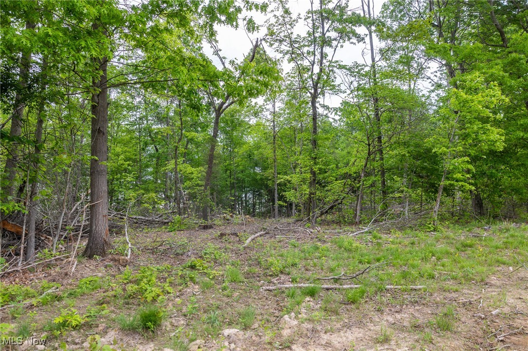 Epler Road, Lowell, Ohio image 22