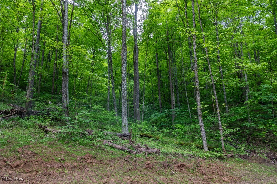 Epler Road, Lowell, Ohio image 9