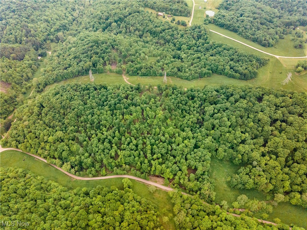 Epler Road, Lowell, Ohio image 38