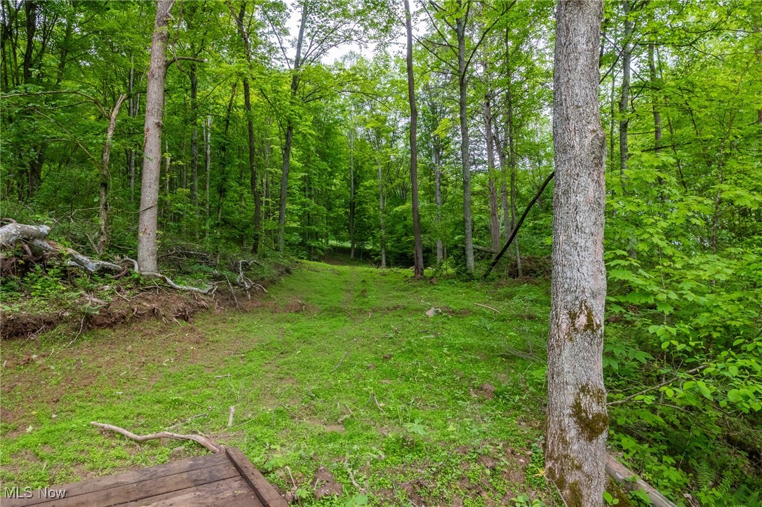 Epler Road, Lowell, Ohio image 6
