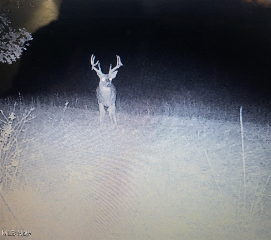 Epler Road, Lowell, Ohio image 35
