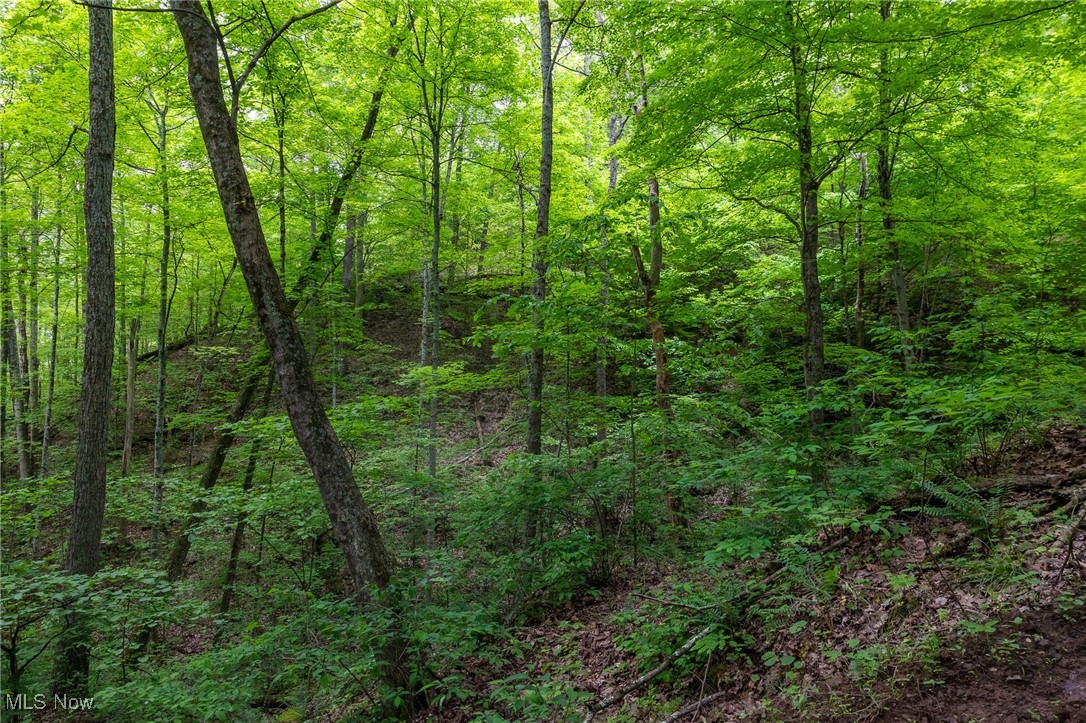 Epler Road, Lowell, Ohio image 12