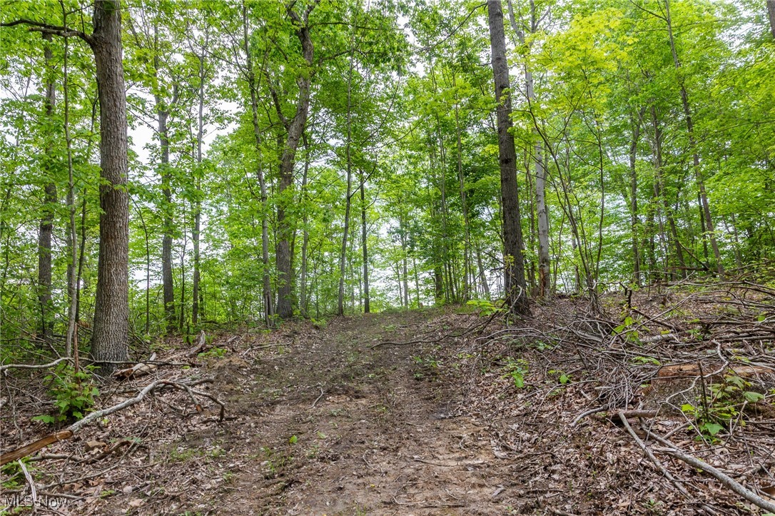 Epler Road, Lowell, Ohio image 18