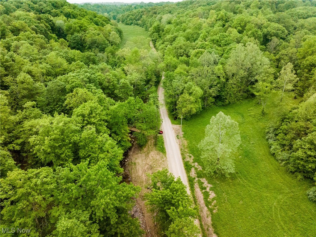 Epler Road, Lowell, Ohio image 49