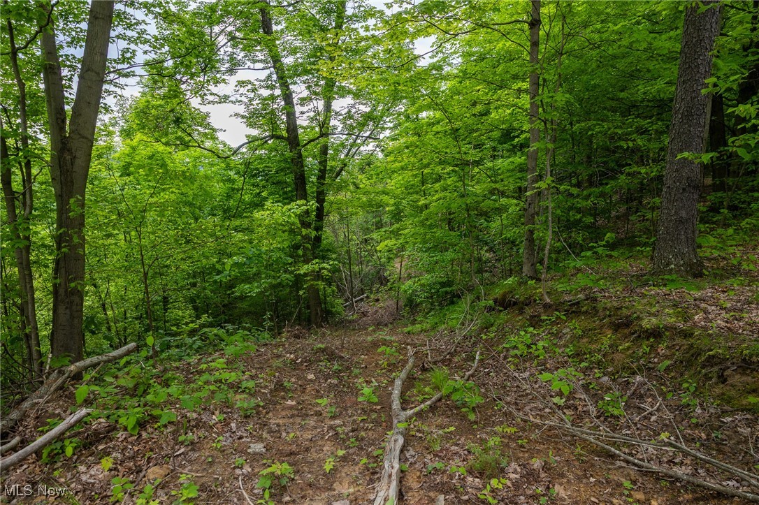 Epler Road, Lowell, Ohio image 20