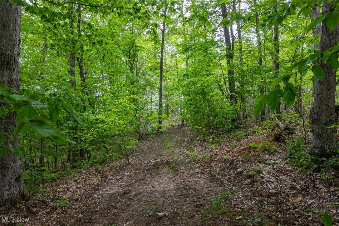 Epler Road, Lowell, Ohio image 16