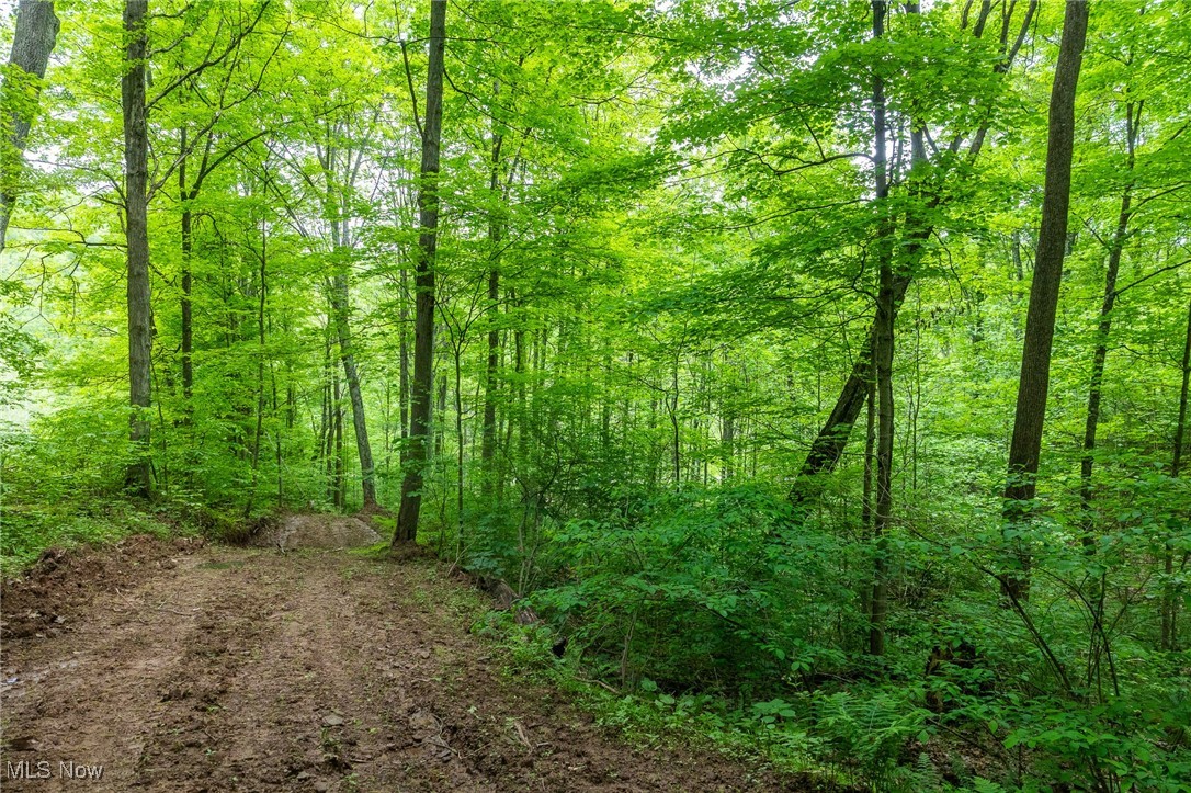 Epler Road, Lowell, Ohio image 13
