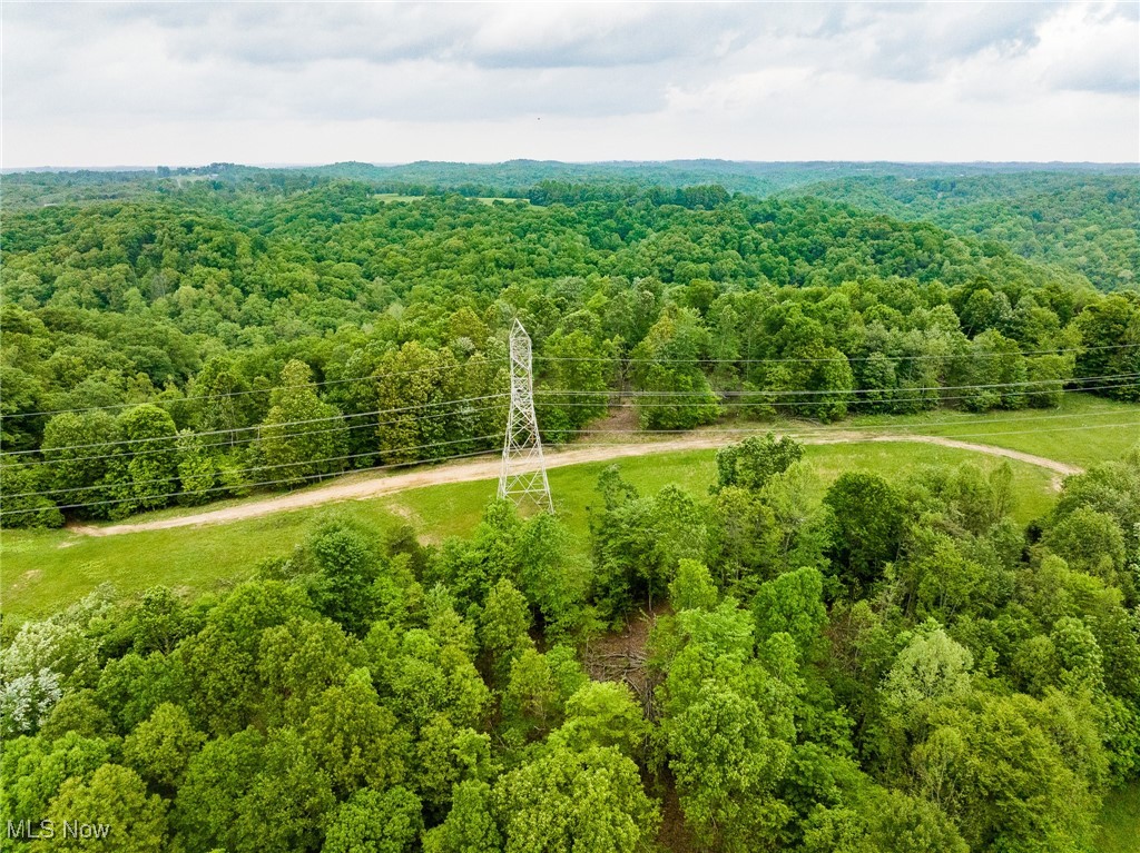 Epler Road, Lowell, Ohio image 43