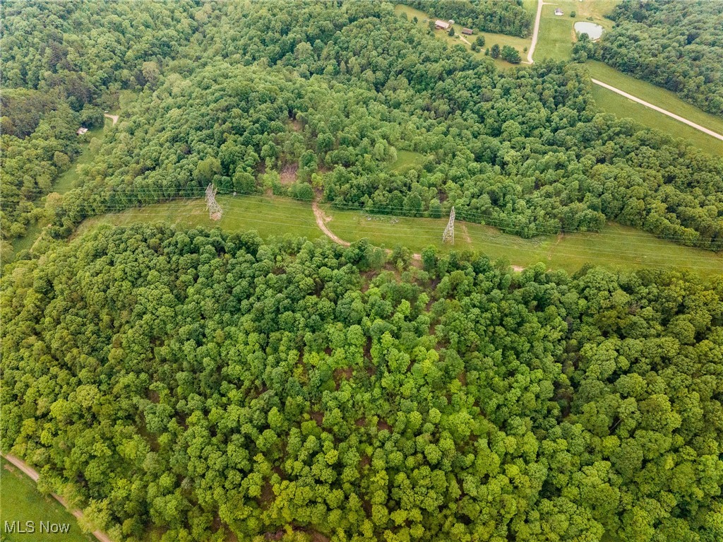 Epler Road, Lowell, Ohio image 39