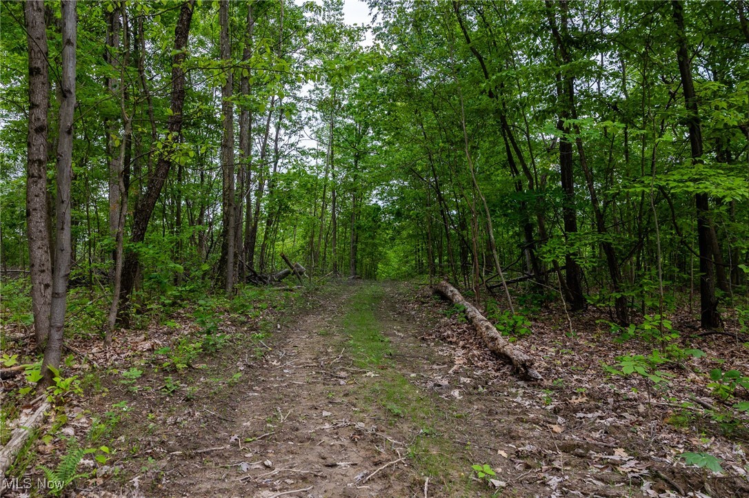 Epler Road, Lowell, Ohio image 28