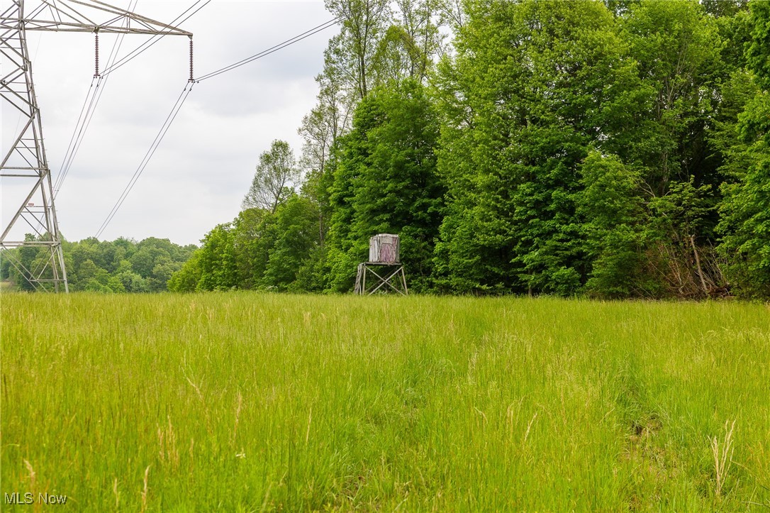Epler Road, Lowell, Ohio image 24