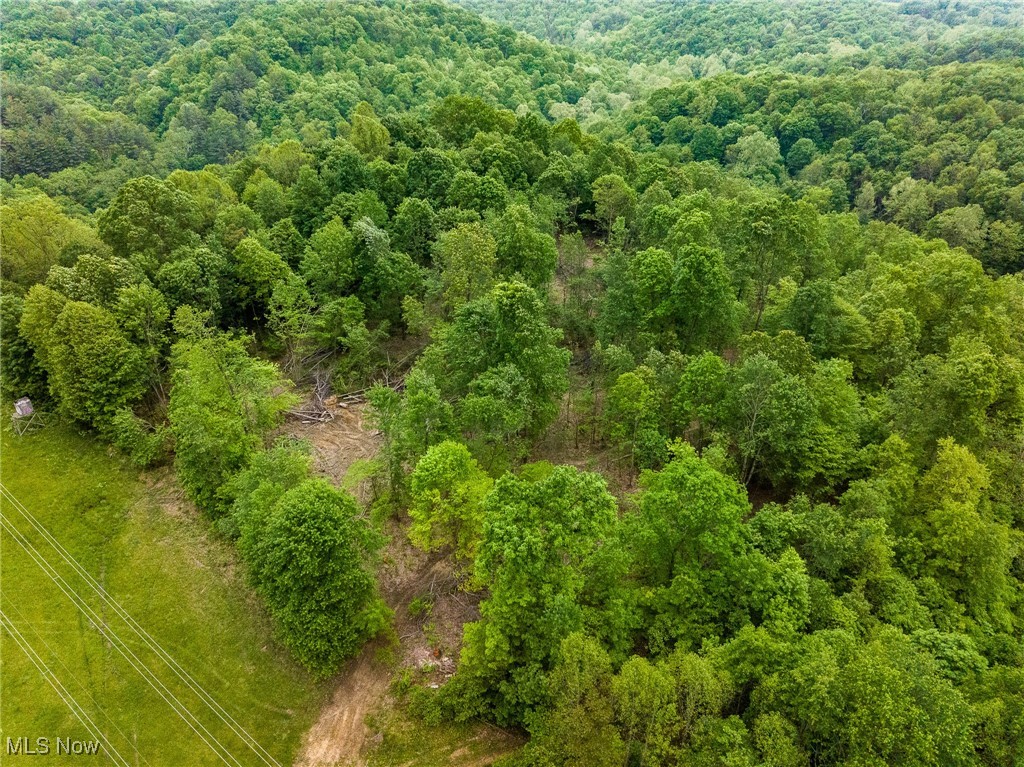 Epler Road, Lowell, Ohio image 45