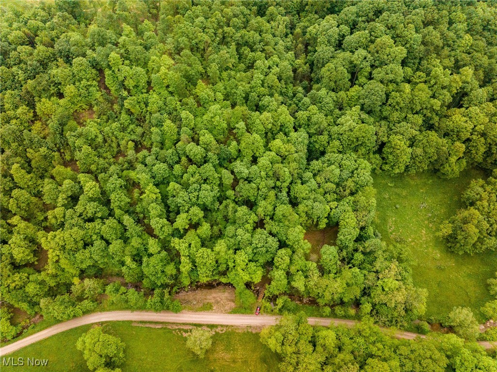 Epler Road, Lowell, Ohio image 37