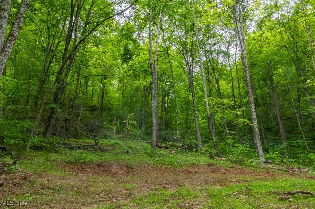 Epler Road, Lowell, Ohio image 7