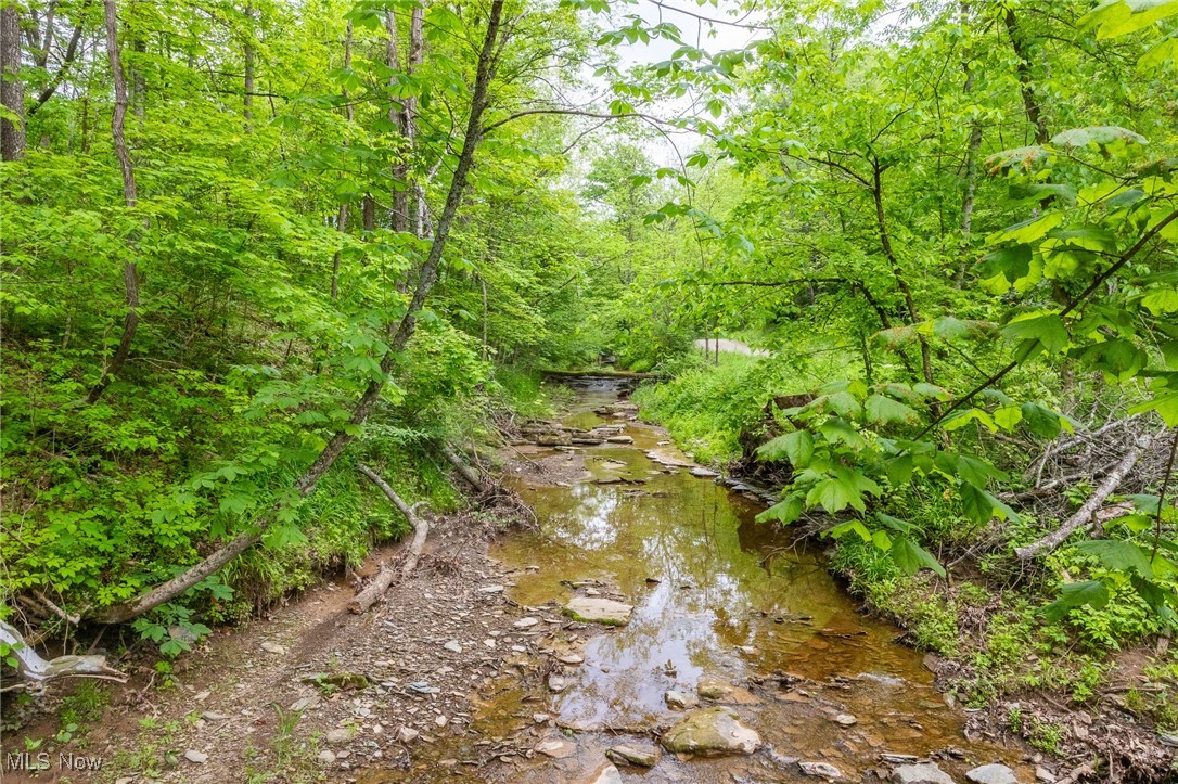 Epler Road, Lowell, Ohio image 3