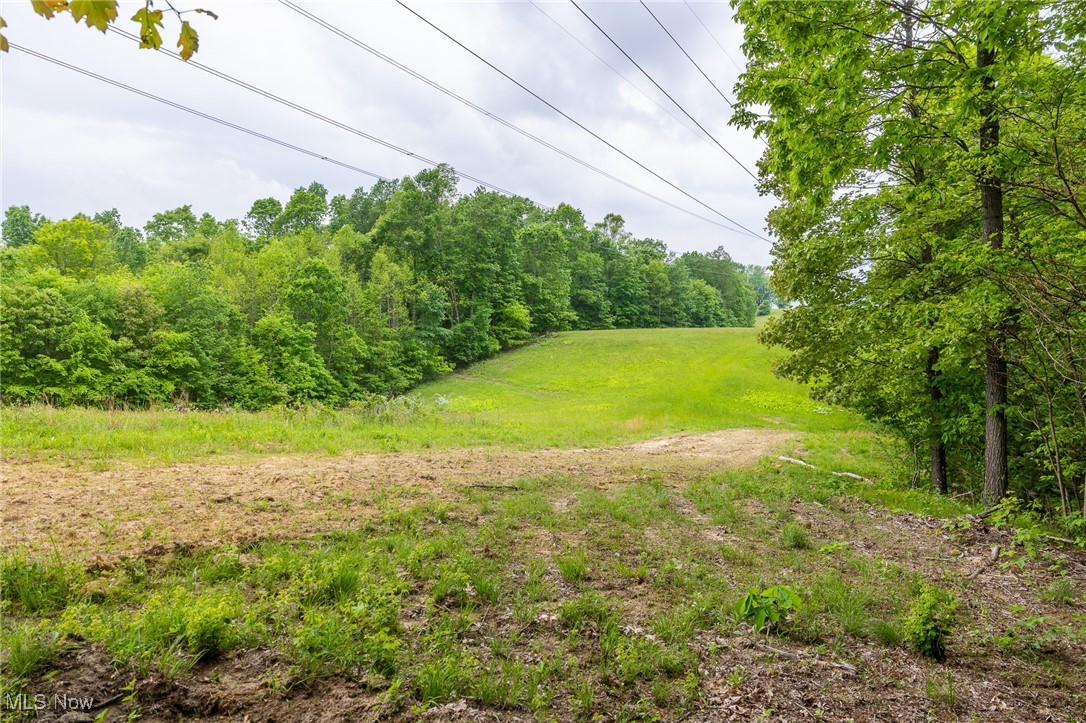 Epler Road, Lowell, Ohio image 21
