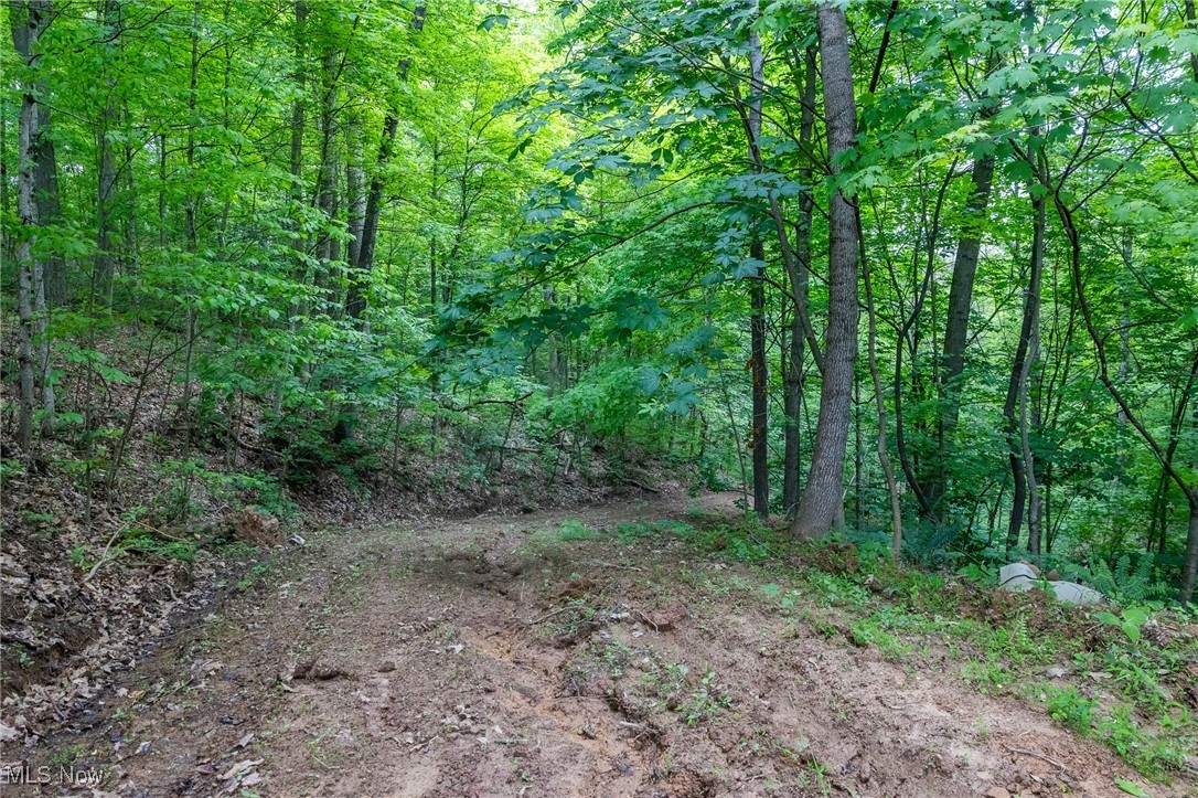 Epler Road, Lowell, Ohio image 14