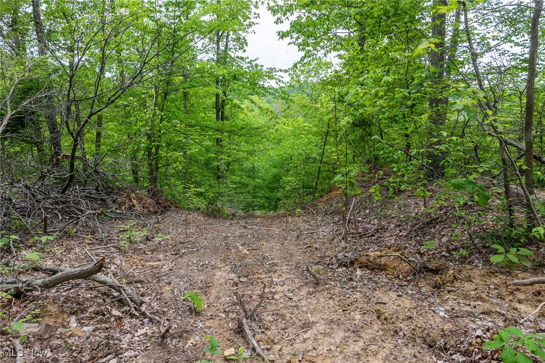 Epler Road, Lowell, Ohio image 19
